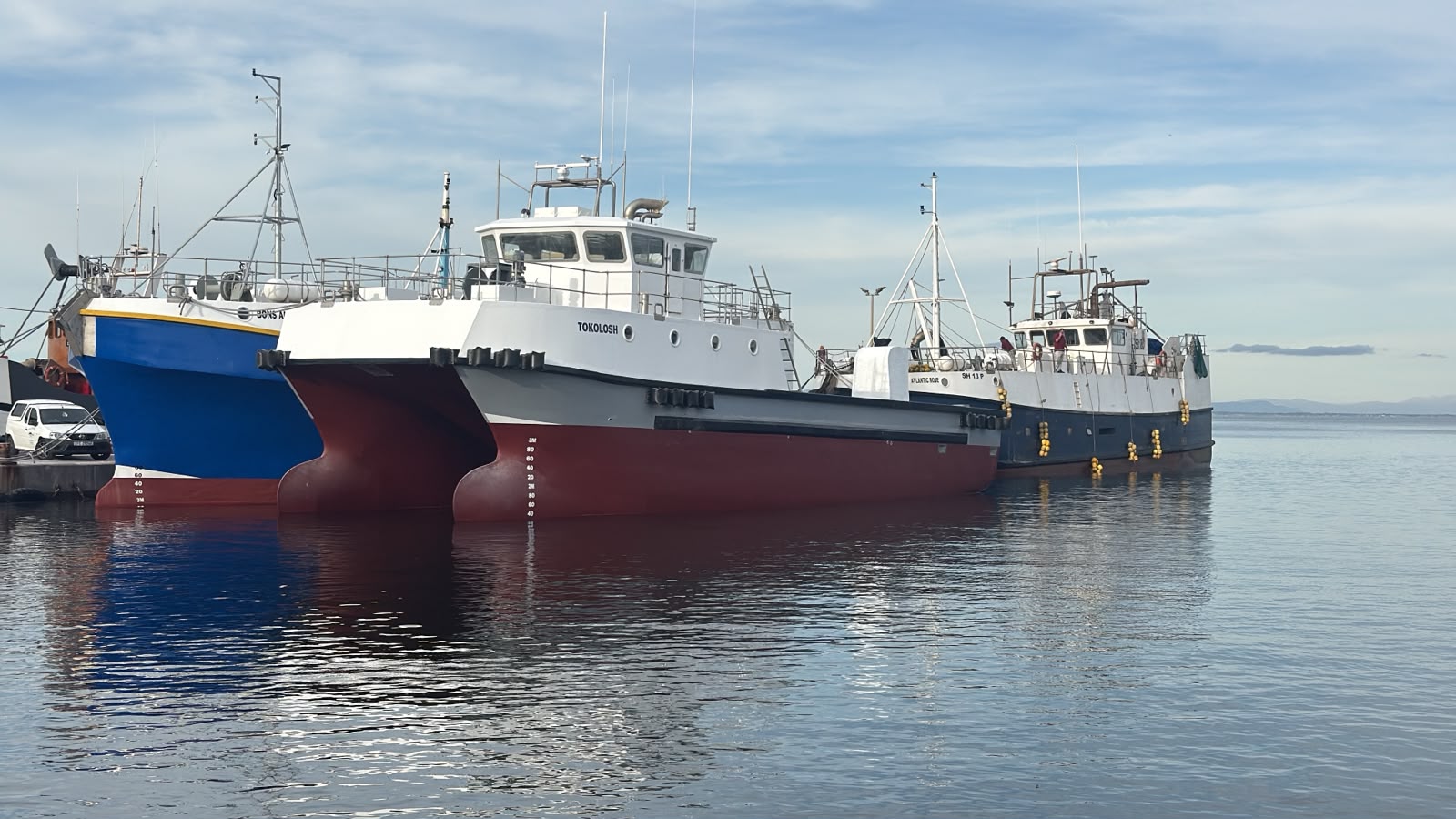 Triton-designed vessels moored alongside in harbour